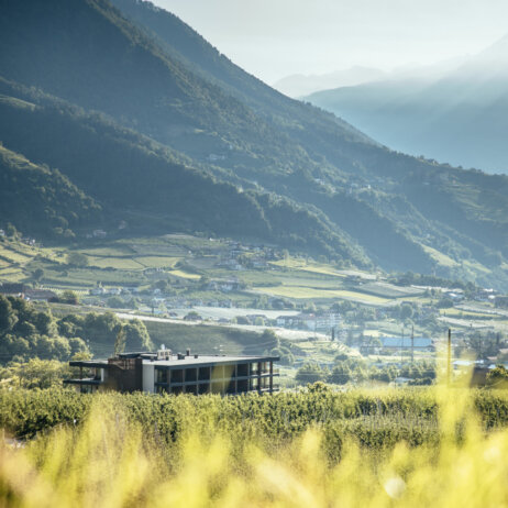 Der Forsterhof Panoramablick © Benjamin Pfitscher