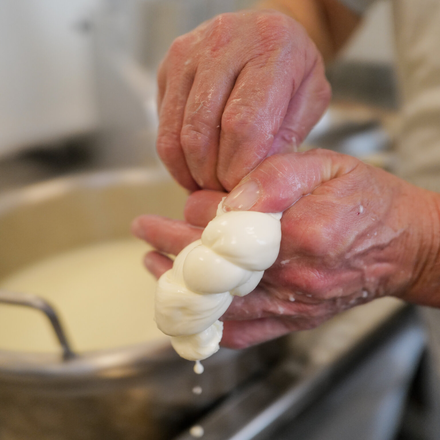 Fratelli Valentino I Mozzarella Handarbeit I 1 I Verena C Mayer