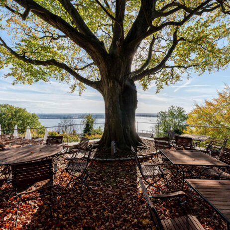 Süllberg I alphin I 6