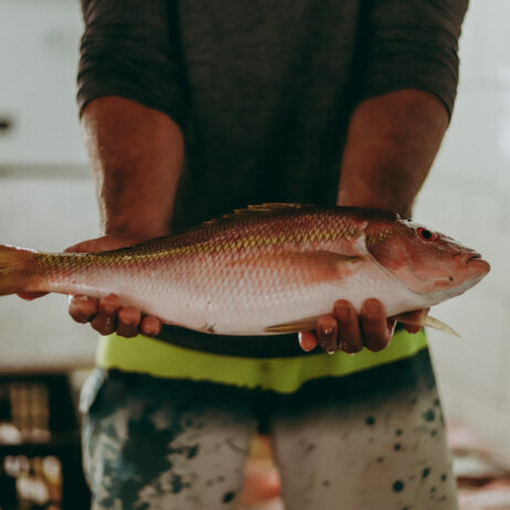 Barracuda Hotel & Villas I Brasilien (24)