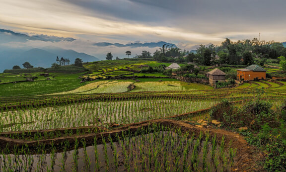 Vietnam I Foto von Peter Hammer auf Unsplash (1)