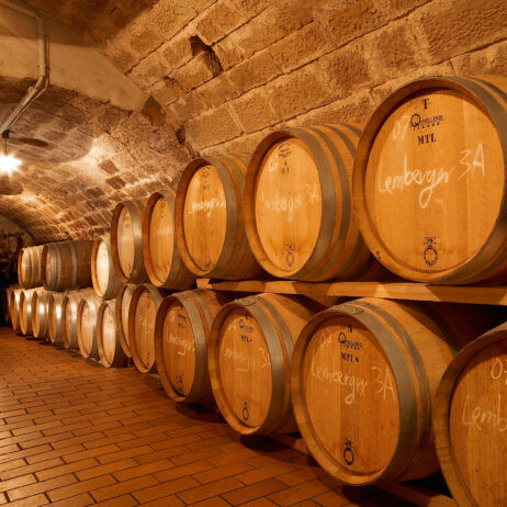Weingut Jürgen Ellwanger I alter Barriquekeller