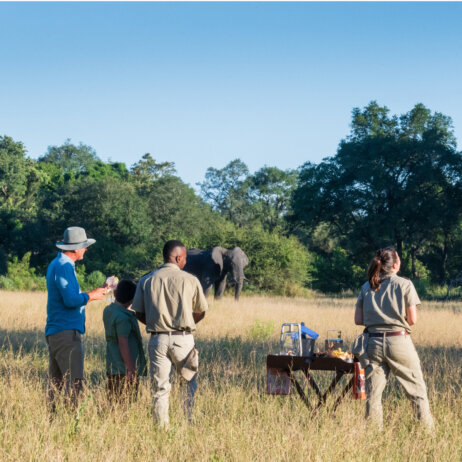Sabi Sabi Private Game Reserve I Safari (1)