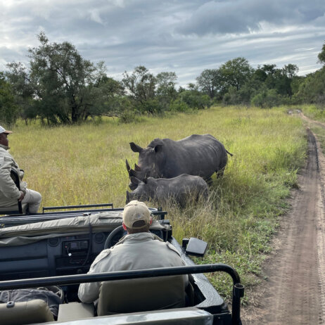 Sabi Sabi Private Game Reserve I Safari (7)