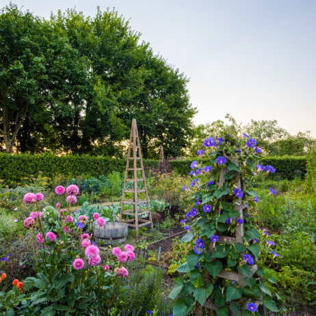 Schlossgarten Petzow I 4