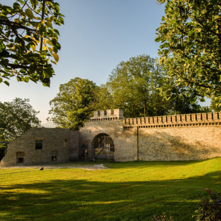 Schlossgarten Petzow I 8