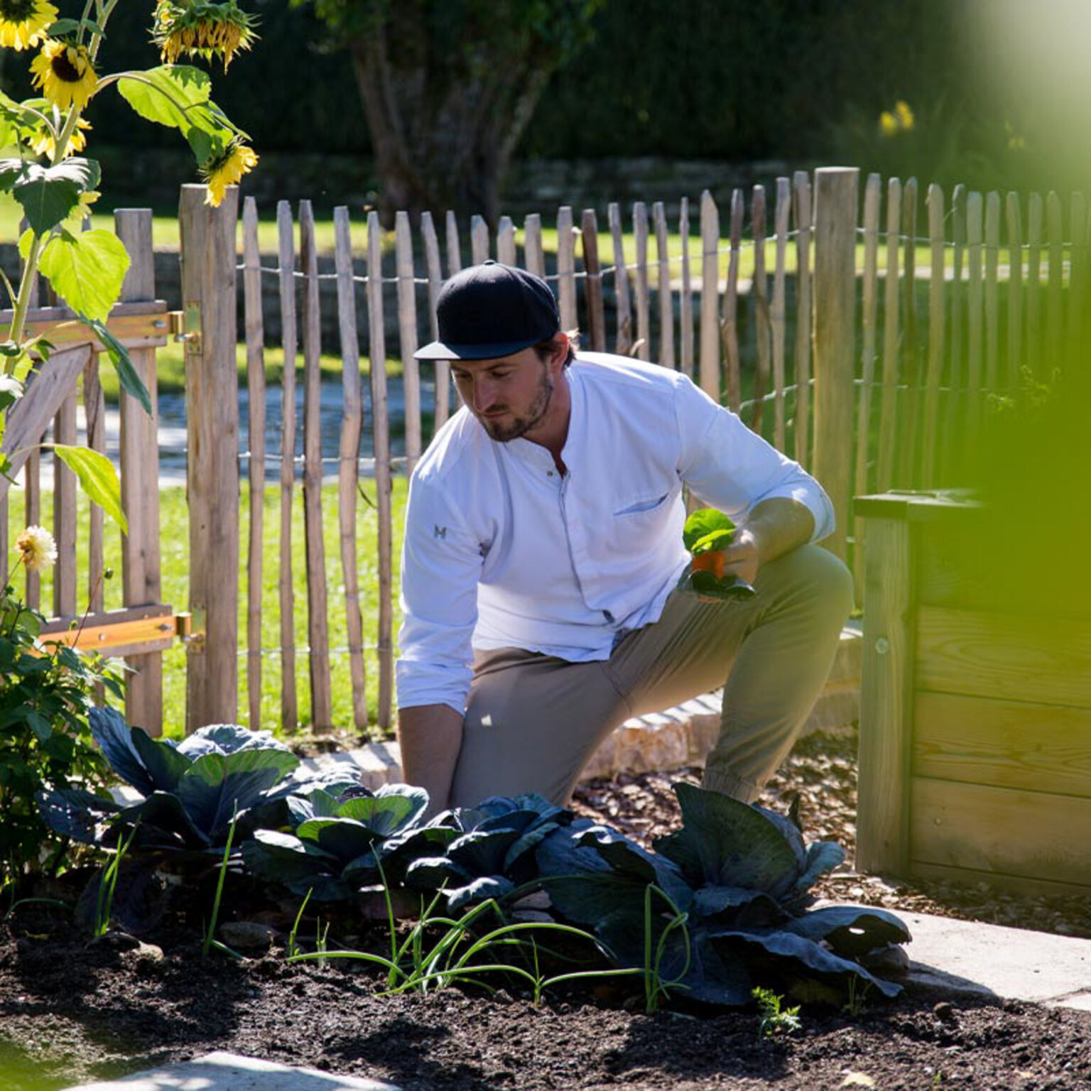 Wachter Foodbar I Dominik