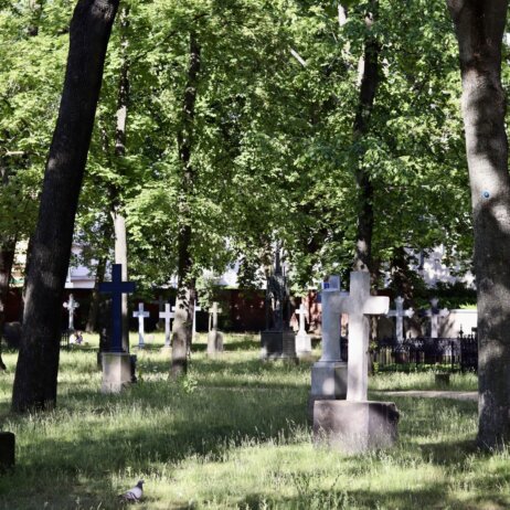 Alter Berliner Garnisonfriedhof _ Foto Ole Zimmermann (3)