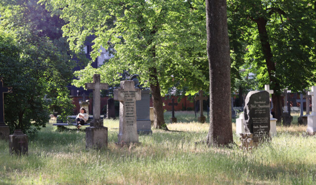 Alter Berliner Garnisonfriedhof _ Foto Ole Zimmermann (71) Alter Berliner Garnisonfriedhof _ Foto Ole Zimmermann (71)