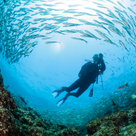 Galapagos Inseln (3)