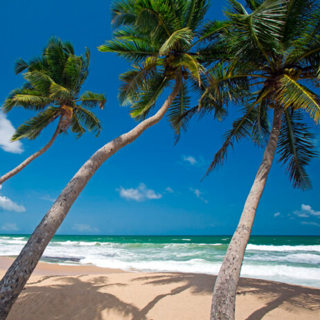 Haritha Villas + Spa I Excursions & Surrounding Areas I 2