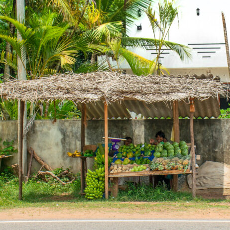 Haritha Villas + Spa I Excursions & Surrounding Areas I 3