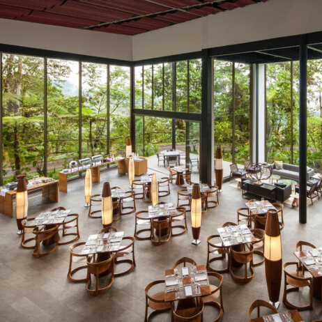 Mashpi Lodge Ecuador (4)