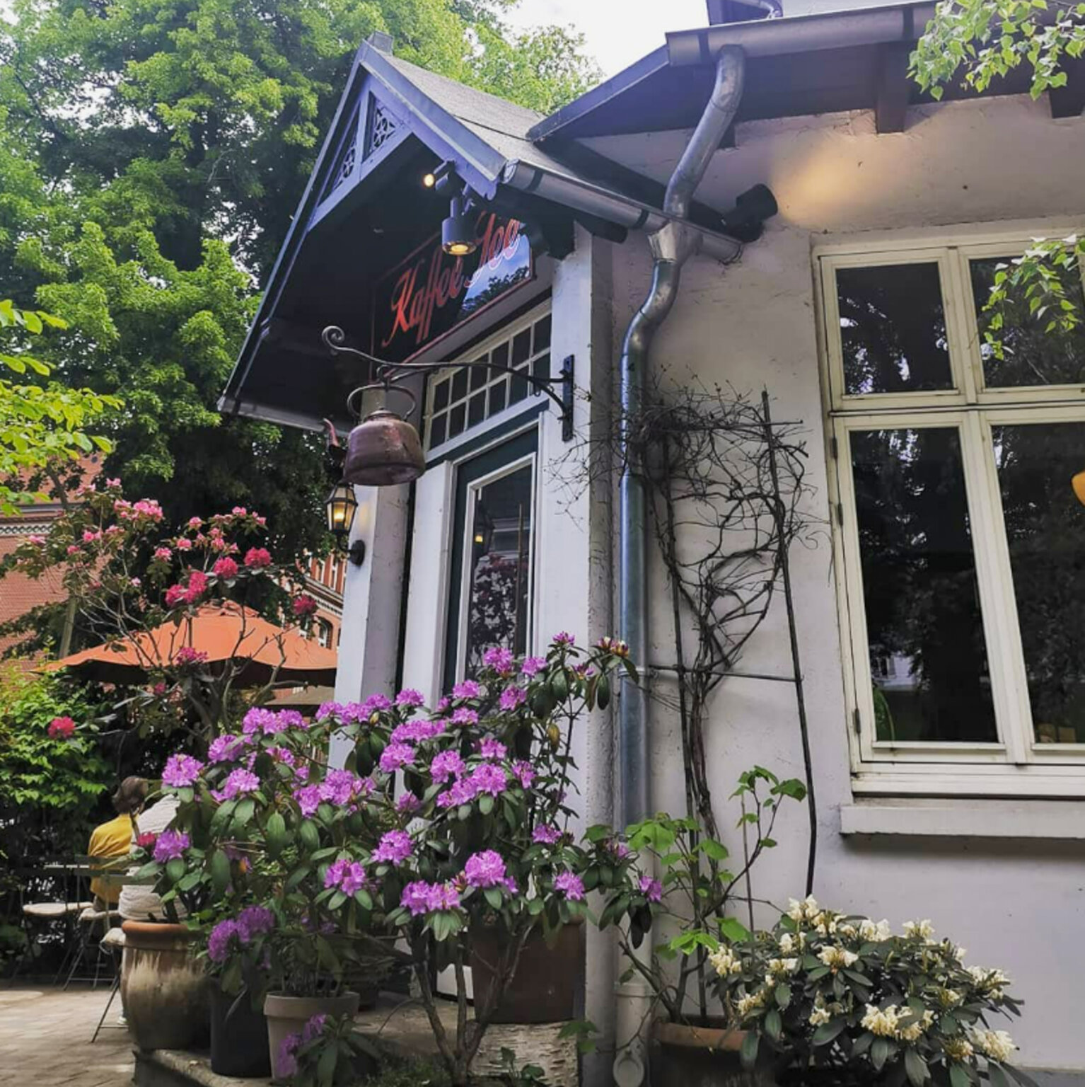 Lühmanns Teestube I 1