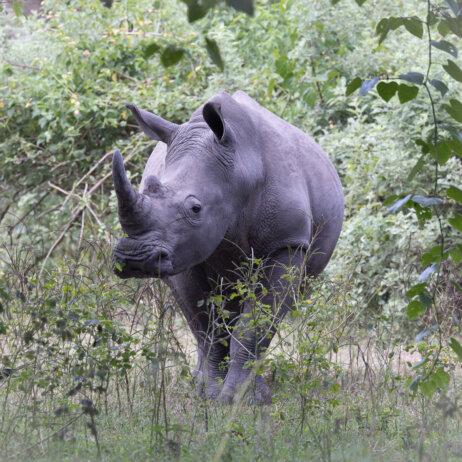 Uganda Rundreise (2)