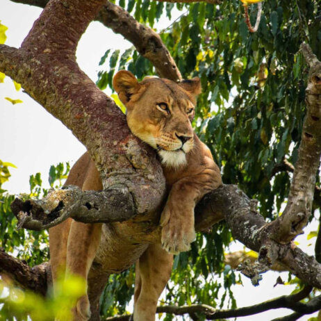 Uganda Rundreise (25)