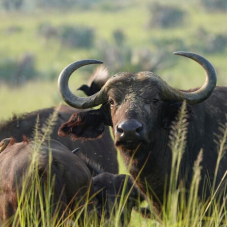 Uganda Rundreise (26)