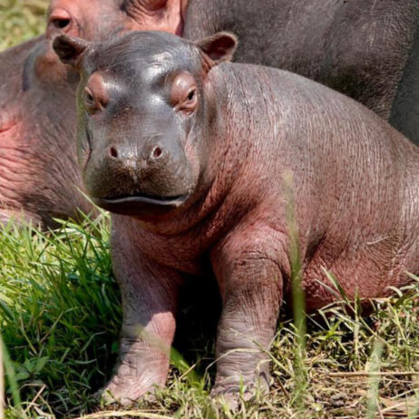 Uganda Rundreise (27)