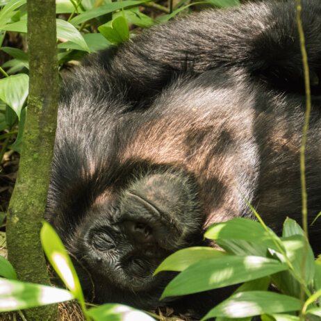 Uganda Rundreise (8)