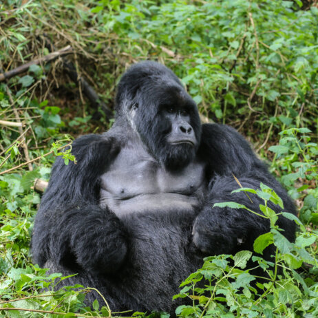 Uganda Rundreise (9)