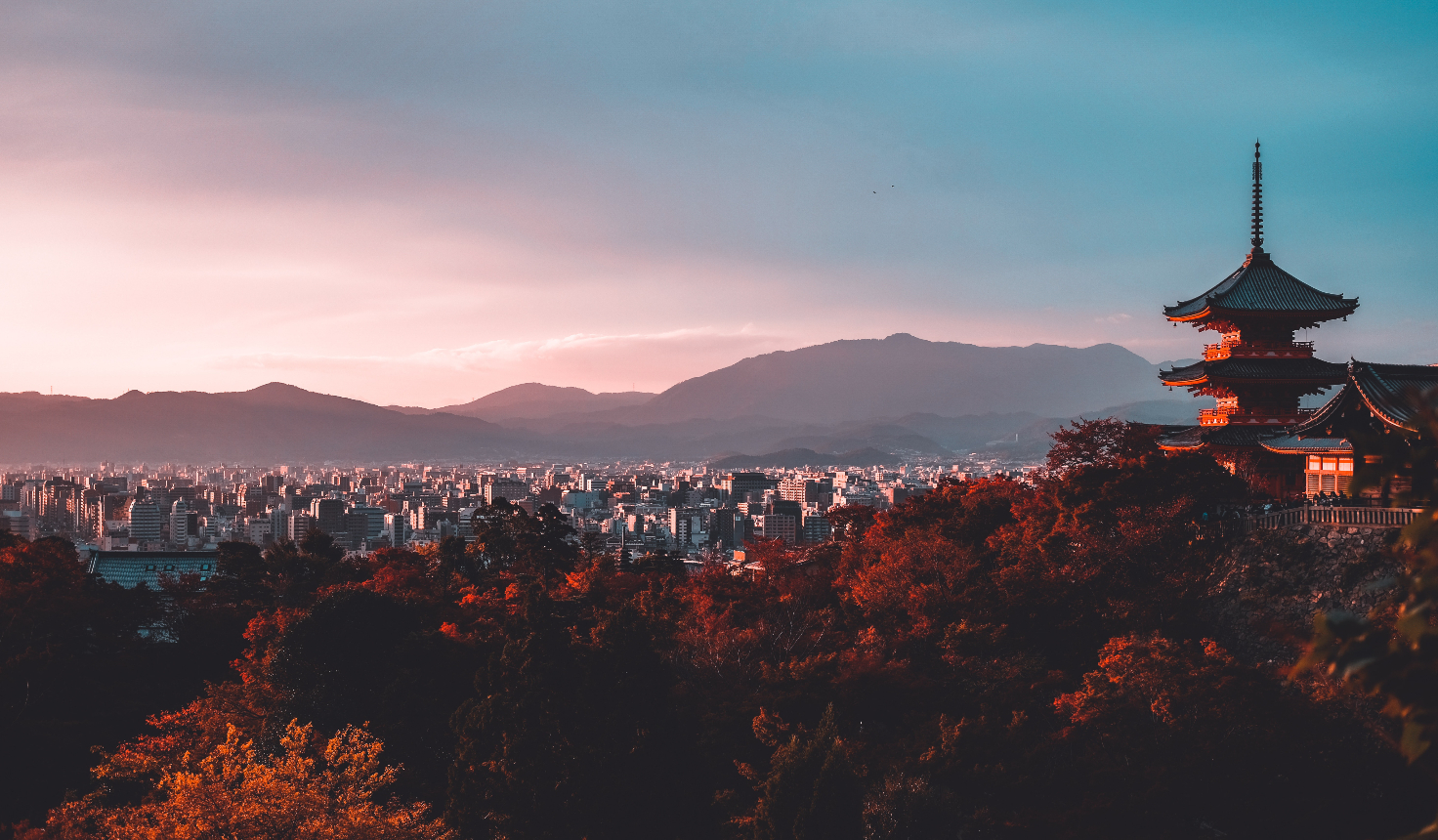 Japan I Foto von Su San Lee auf Unsplash