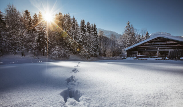 Wintertime in Bregenzerwald, Austria