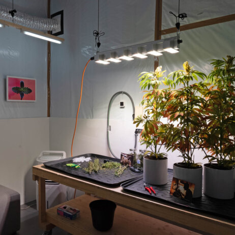 Migros Museum Zürich © Studio Stucky-04