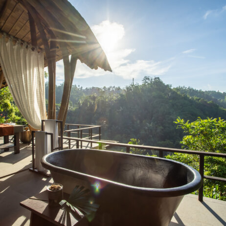 Buahan Banyan Tree Escape -11