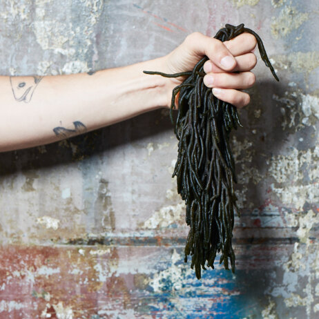 Auster Region Hamburg-05