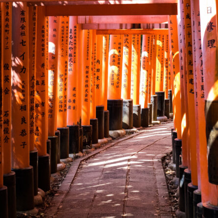 Japan Kyoto Foto von Adrien Bruneau auf Unsplash