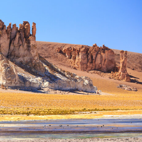 Nayara Alto Atacama-19