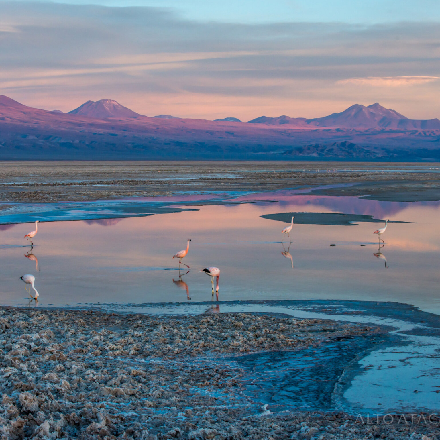 Nayara Alto Atacama-22