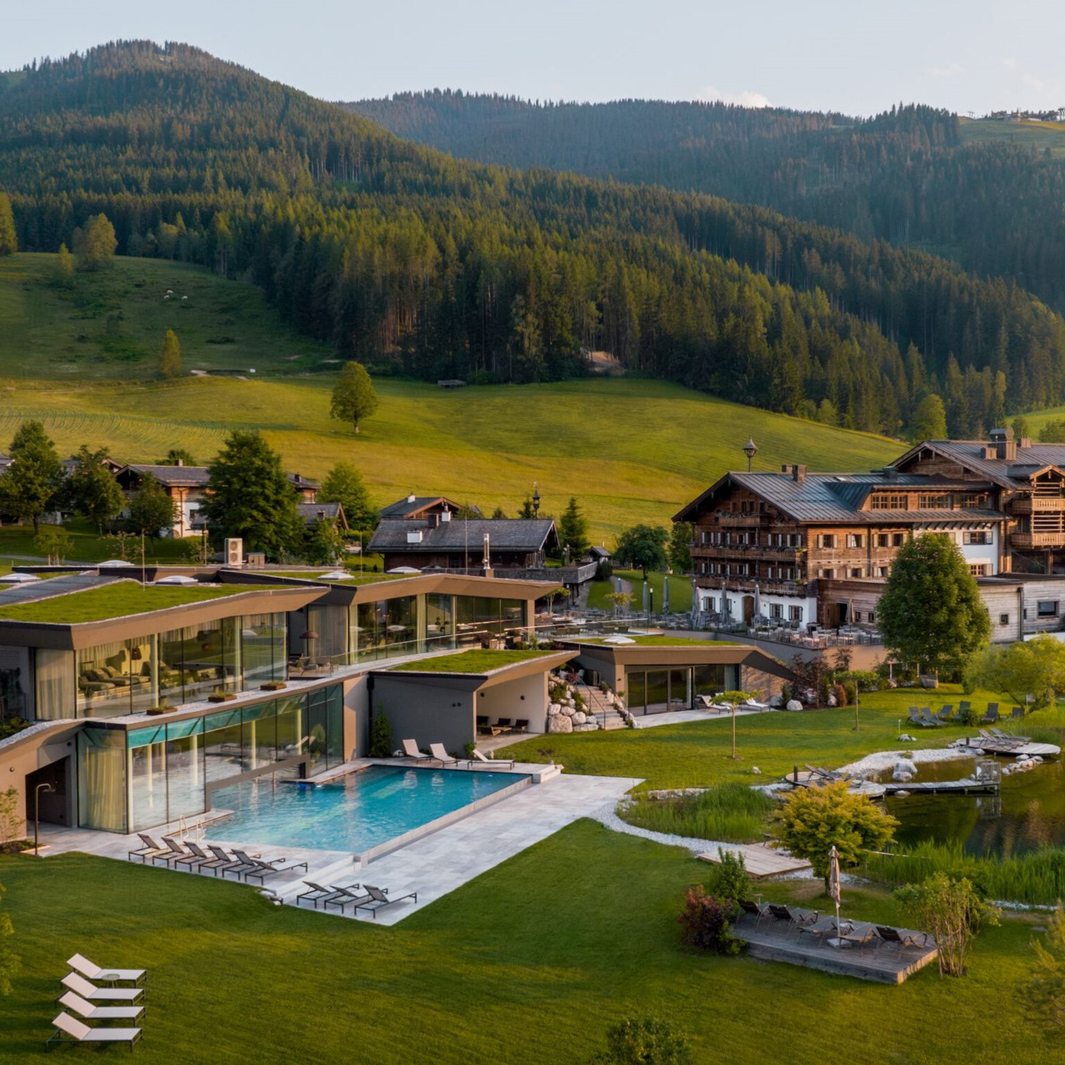 Puradies © the creating click-7