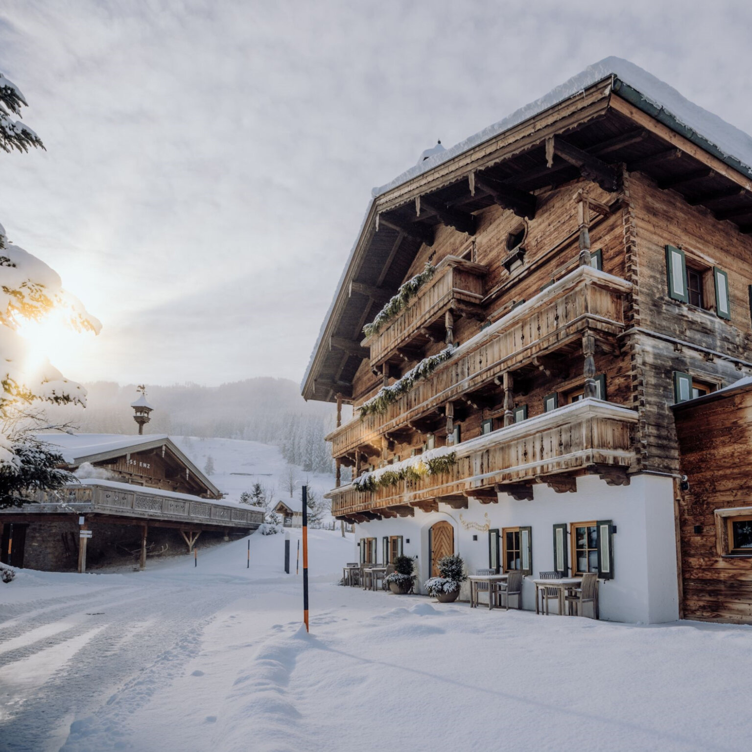 Puradies Foto the creating click-2