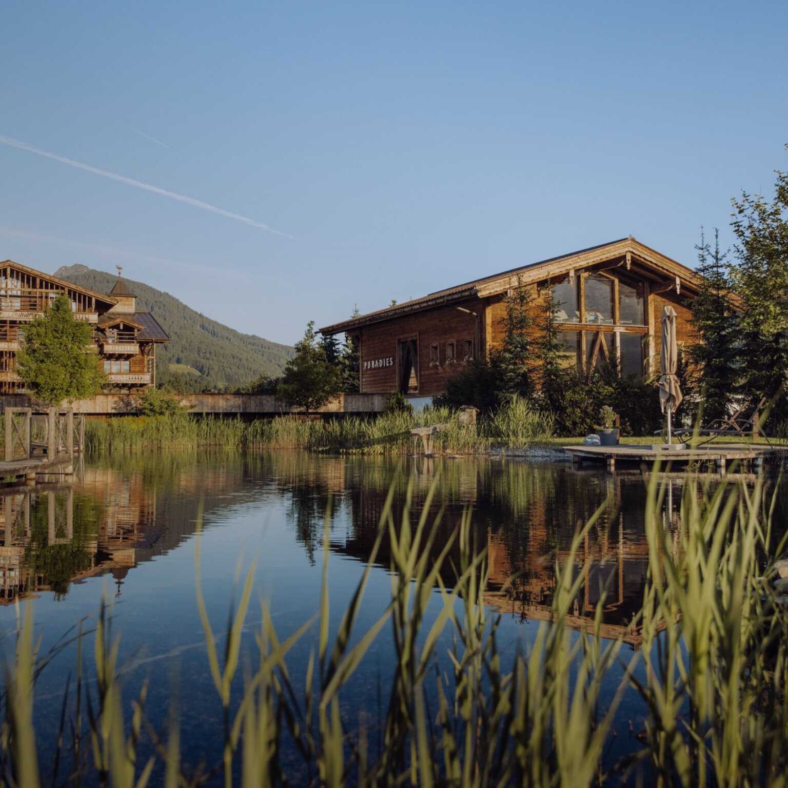 Puradies Foto the creating click-5