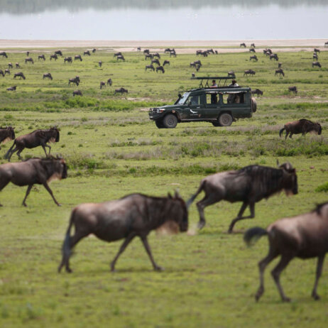 andBeyond-Serengeti-Under-Canvas-12
