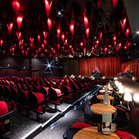 Die Stachelschweine Berlin-5