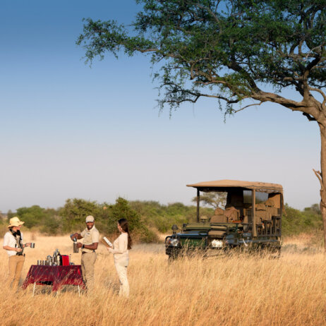 Tanzania Grumeti Serengeti River Lodge-12