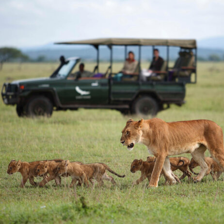 Tanzania Grumeti Serengeti River Lodge-18