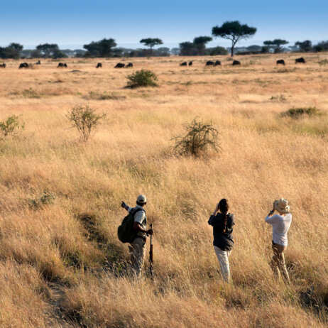 Tanzania Grumeti Serengeti River Lodge-4