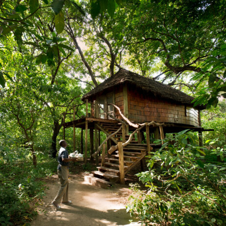 Tanzania Lake Manyara Tree Lodge-21