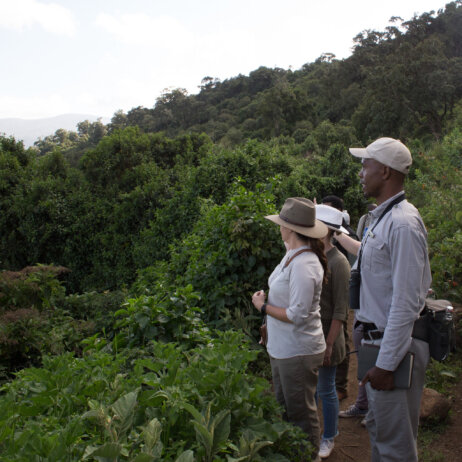 Tanzania Ngorongoro Crater Lodge-3