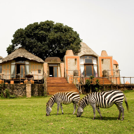Tanzania Ngorongoro Crater Lodge-6