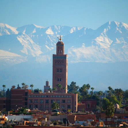 Marrakesch I Foto von Paul Macallan auf Unsplash