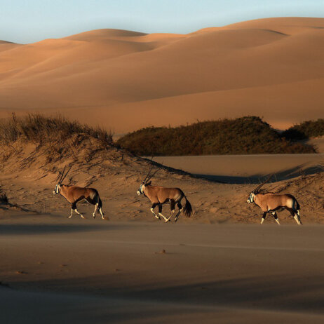 Namibia -6