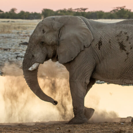 Namibia _ Foto Ute von Ludwiger -11