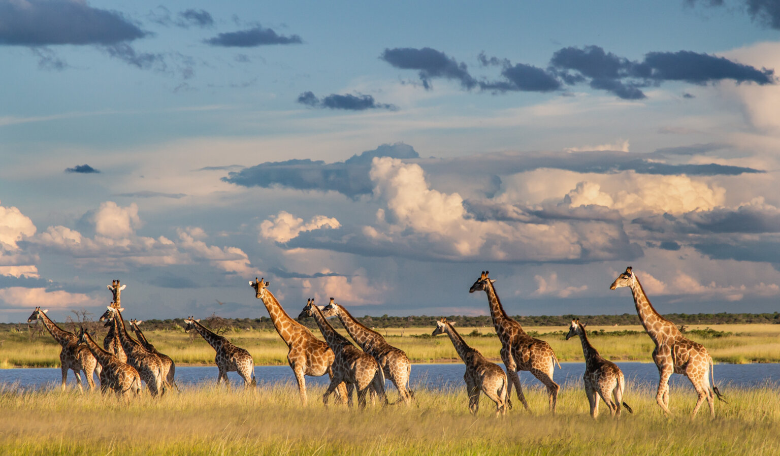 Namibia _ Foto Ute von Ludwiger -13