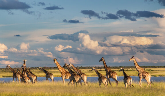 Namibia _ Foto Ute von Ludwiger -13