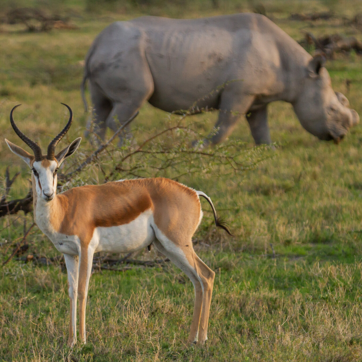 Namibia _ Foto Ute von Ludwiger -20