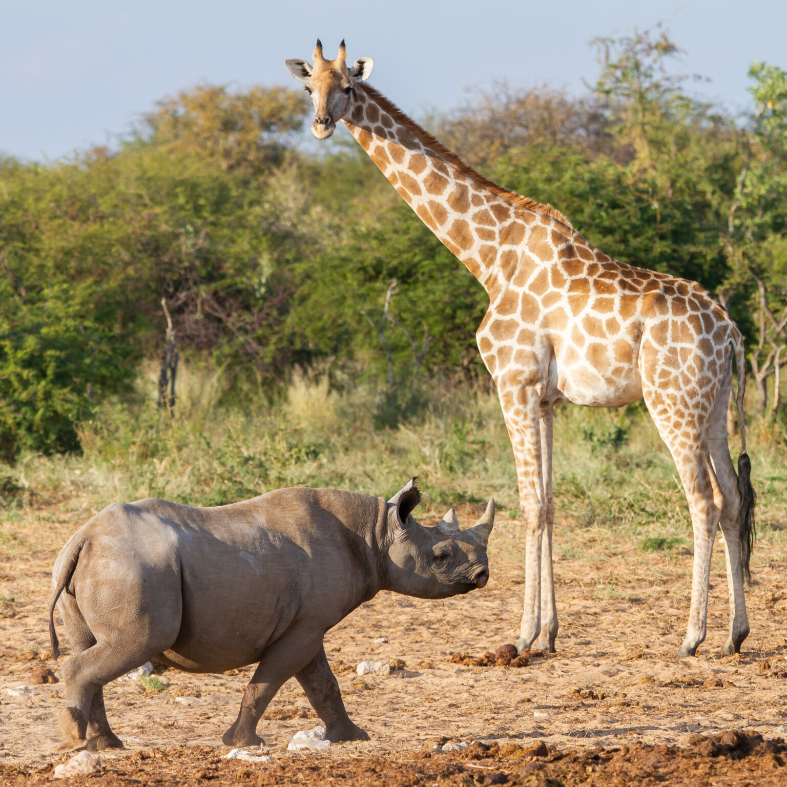 Namibia _ Foto Ute von Ludwiger -7